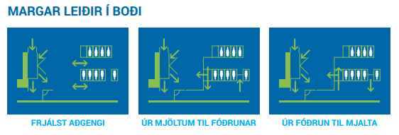 Margar leiðir í boði