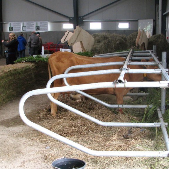 landbunadarsyning-010