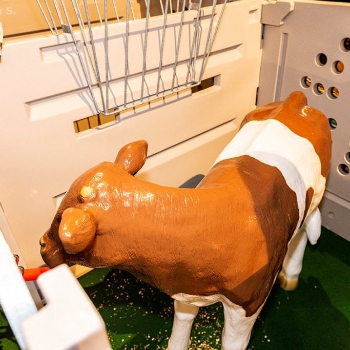 04b00525-f41f-408b-84ef-a87b4ffd413f_l