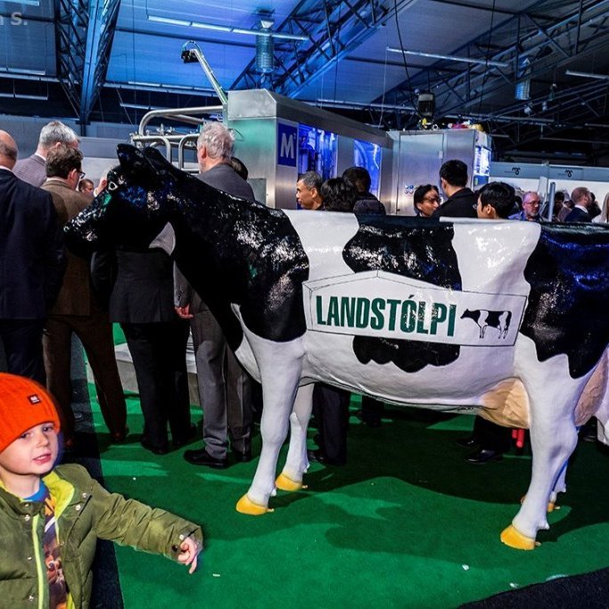 7802b542-ee68-4ba3-bb16-2e47a6636700_l