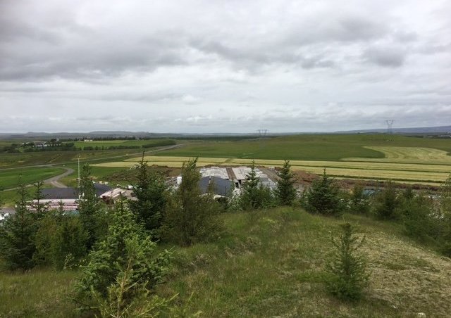 Sumarið er tíminn!