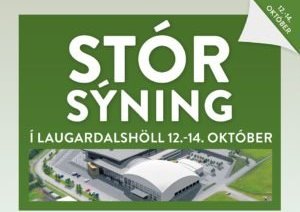 Landstólpi í Laugardalshöll :)