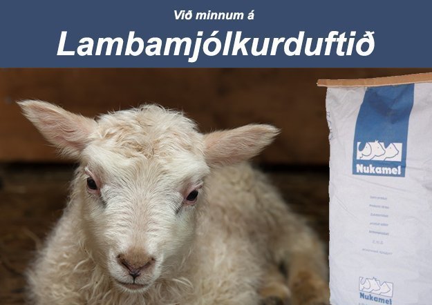Við minnum á lambamjólkurduftið okkar frá Nukamel
