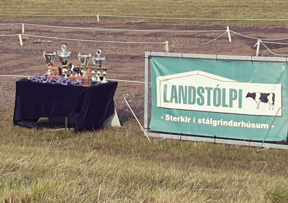 Landstólpagæðingamót Smára og Trausta