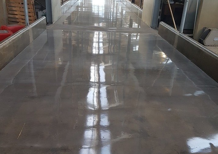 20% afsláttur í ágúst! 