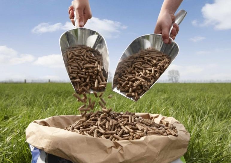 Kjarnfóður - Verðhækkun