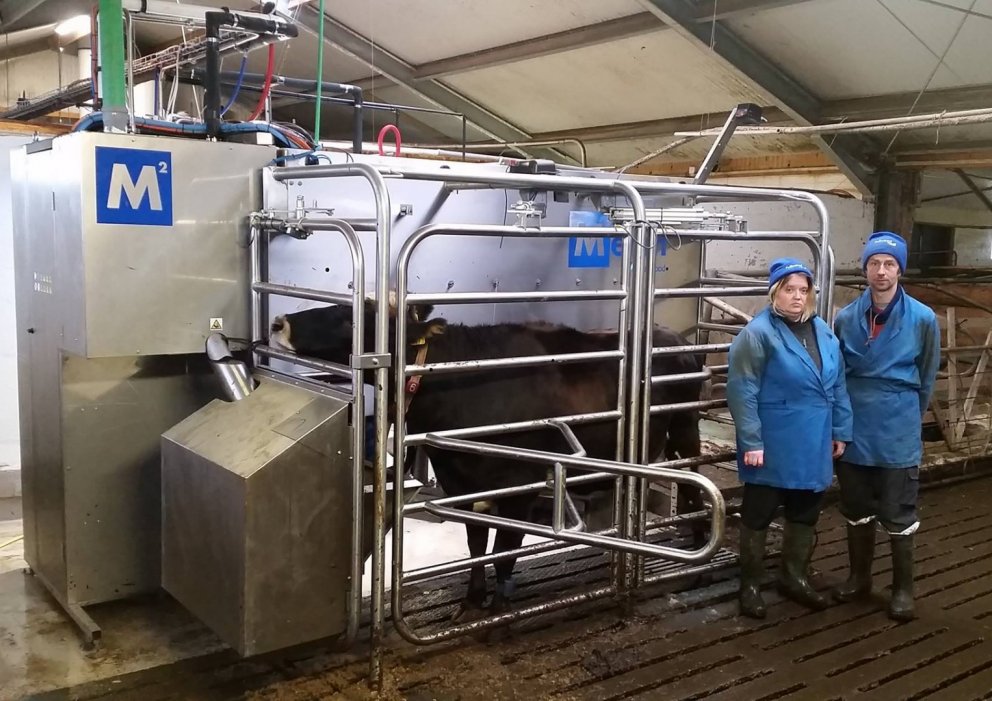 Fullwood M2erlin 1 árs á Íslandi