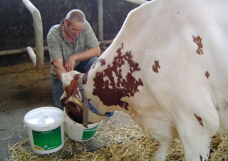 Ný vara! Orkuskot fyrir nýbærur