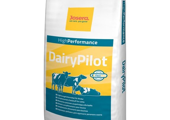 Nýtt viðbótarfóður fyrir nautgripi