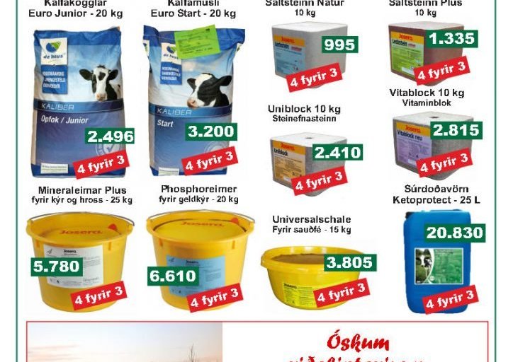 Við erum í jólaskapi