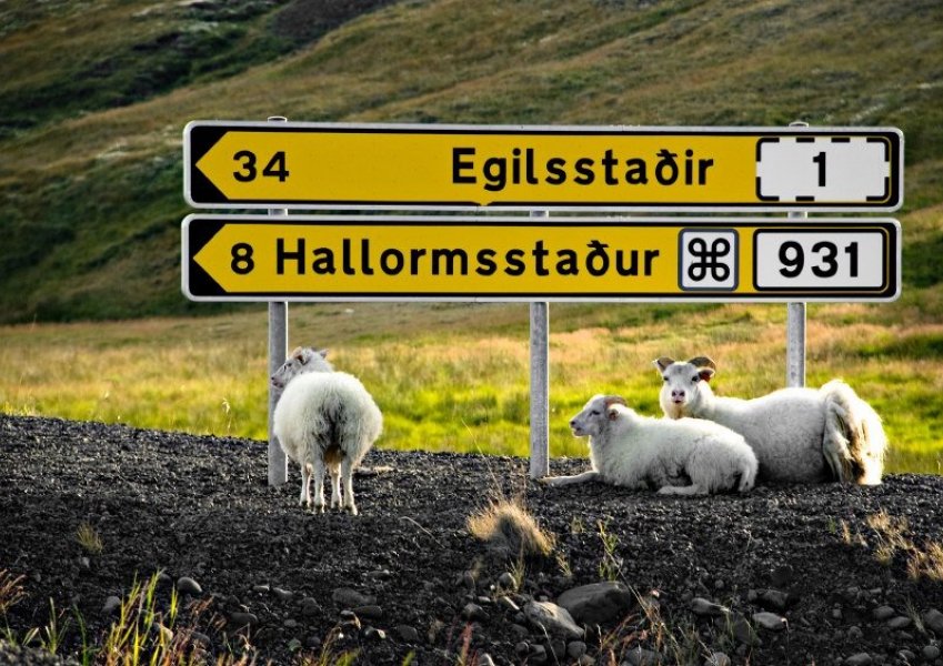 Heimkeyrsla frá Landstólpa á Egilsstöðum