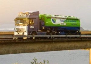 Fundir um fóðrun mjólkurkúa