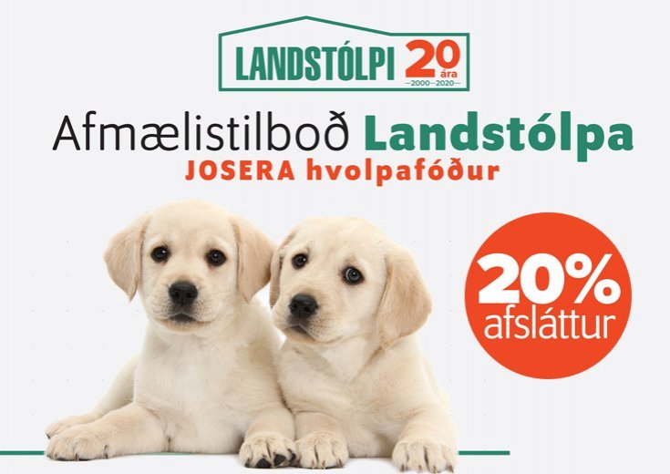 Afmælistilboð Landstólpa - Febrúar
