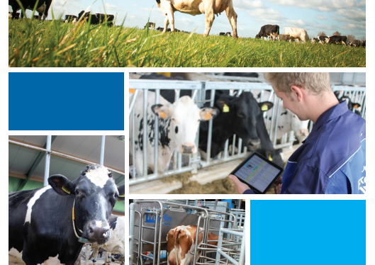 Fullwood M2erlin bæklingur