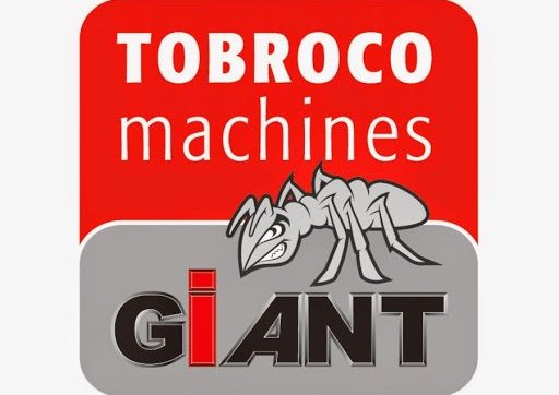 Giant liðléttingur