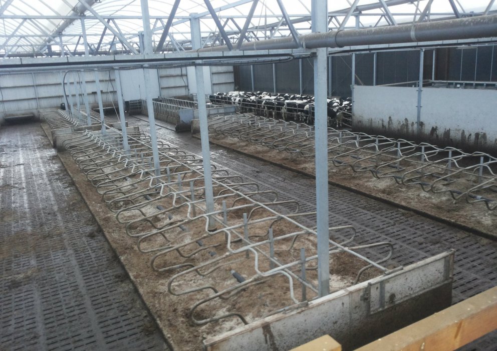 Grein um Hollandsferð Landstólpa