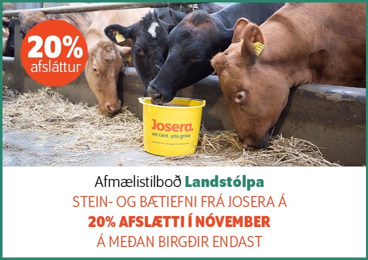 Afmælistilboð - Nóvember