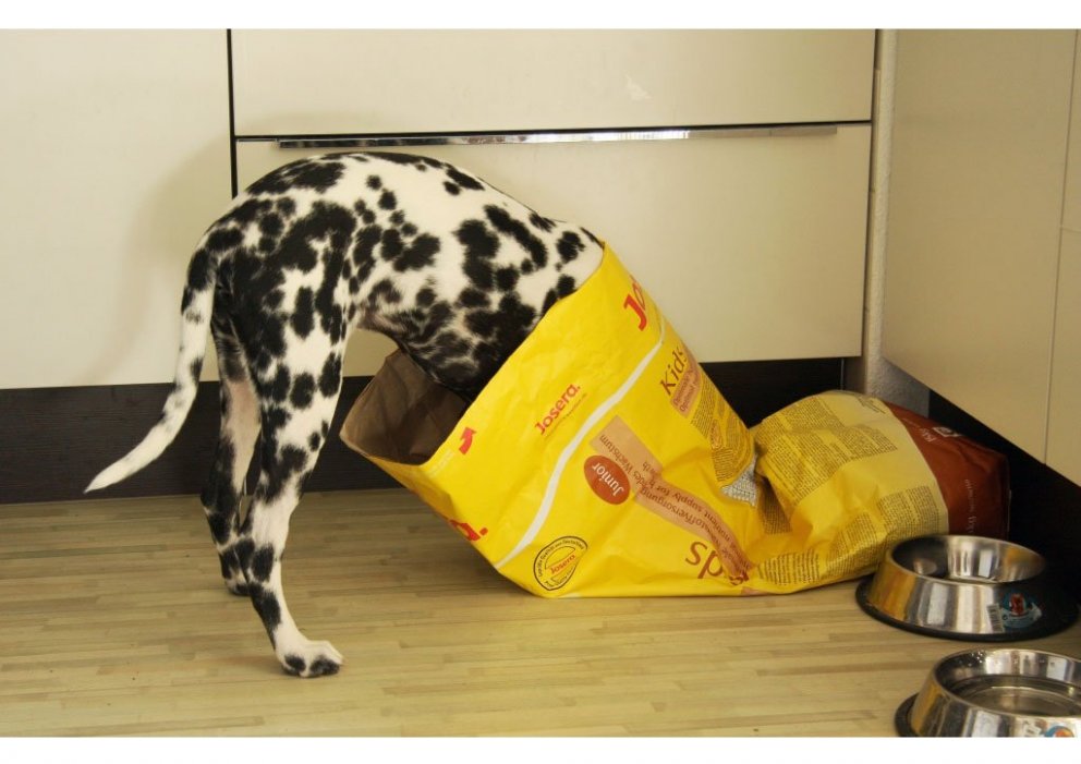 Josera gæludýrafóður