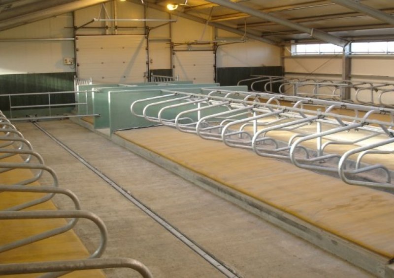 Frá hugmynd að fjósi - námskeið um tæknilegar lausnir í fjósum