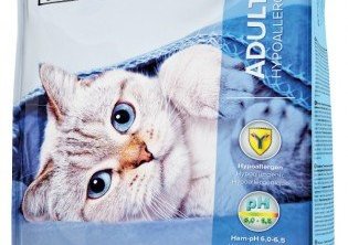 Er kötturinn þinn með fæðuóþol?