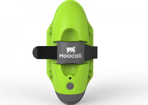 Nýjung á Íslandi - Burðarboði