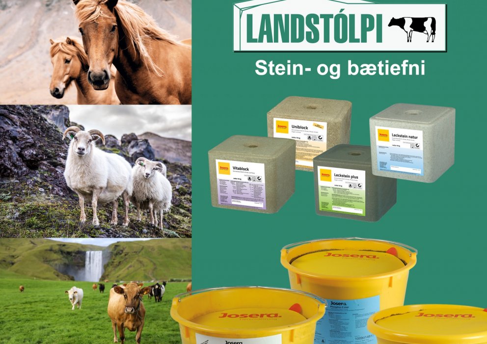 Stein- og bætiefni