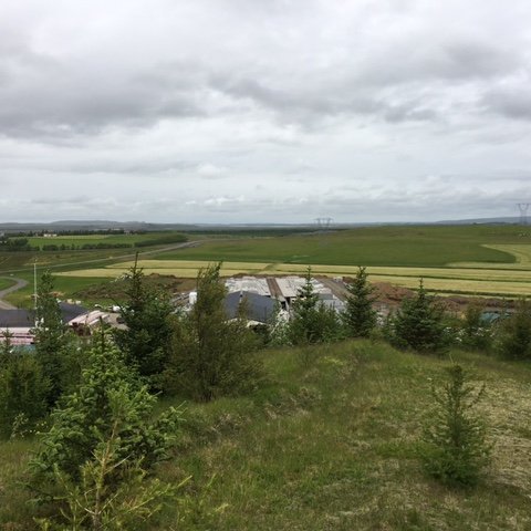 Sumarið er tíminn!