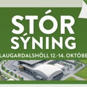 Landstólpi í Laugardalshöll :)