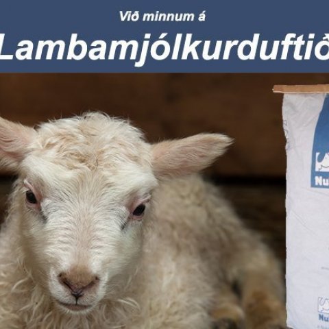 Við minnum á lambamjólkurduftið okkar frá Nukamel