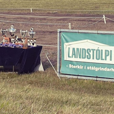 Landstólpagæðingamót Smára og Trausta