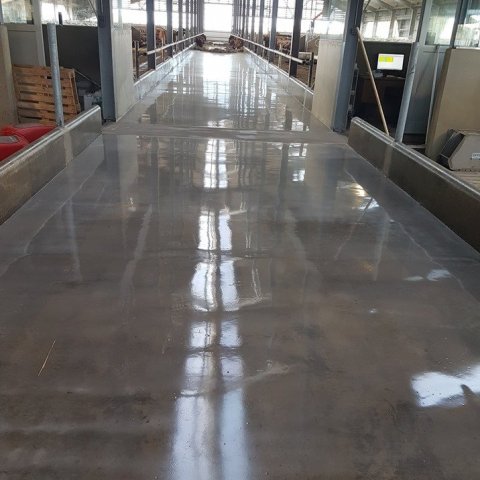 20% afsláttur í ágúst! 