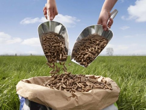 Kjarnfóður - Verðhækkun frá og með 11. mars