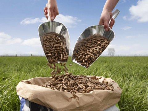 Kjarnfóður - Verðhækkun frá og með 1. janúar