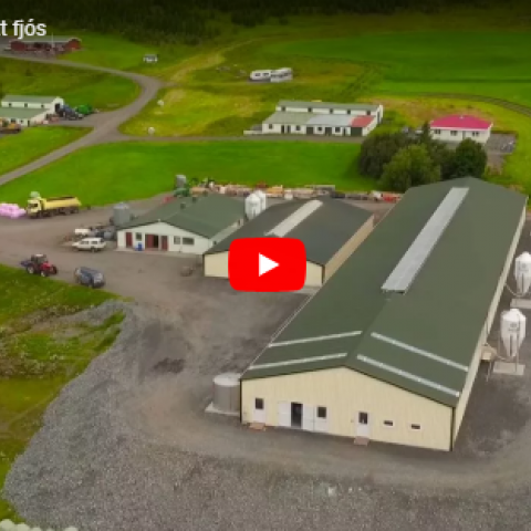 Nýtt fjós á Kúskerpi