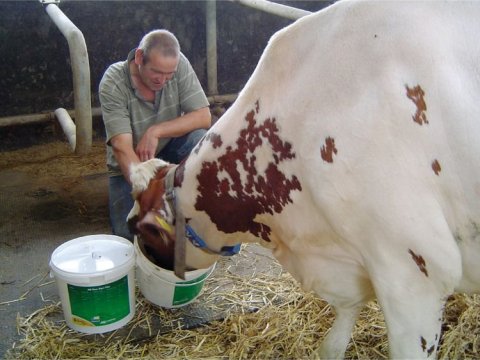 Ný vara! Orkuskot fyrir nýbærur