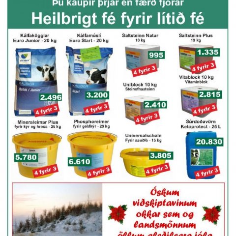 Við erum í jólaskapi