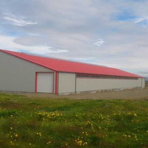 Nýtt fjós á Gunnlaugsstöðum