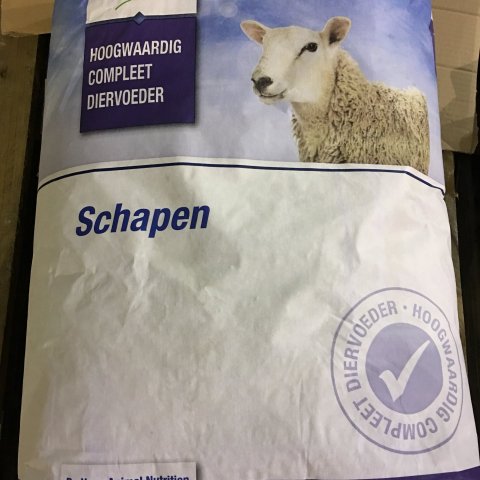 Fjárbætir, óerfðabreyttur