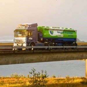 Fundir um fóðrun mjólkurkúa