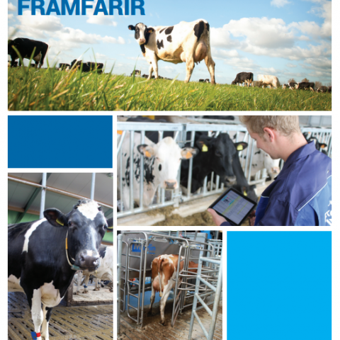 Fullwood M2erlin bæklingur