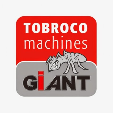 Giant liðléttingur