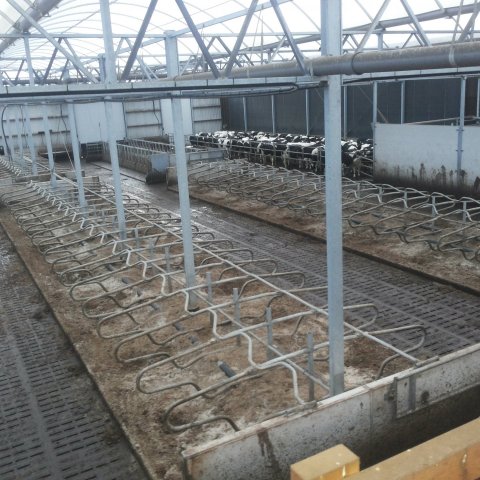 Grein um Hollandsferð Landstólpa