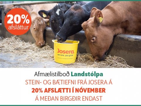 Afmælistilboð - Nóvember
