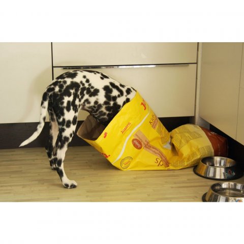 Josera gæludýrafóður