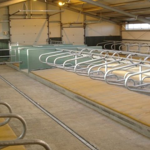 Frá hugmynd að fjósi - námskeið um tæknilegar lausnir í fjósum