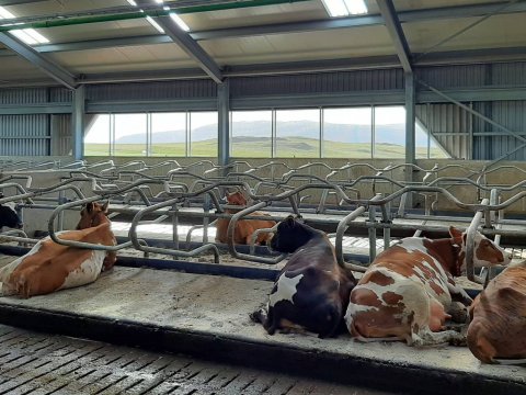 Fóðrun og heilbrigði kúa - Gunnbjarnarholti - 4. apríl!