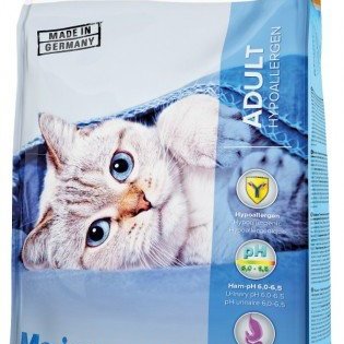 Er kötturinn þinn með fæðuóþol?