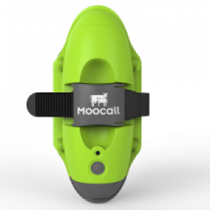 Nýjung á Íslandi - Burðarboði