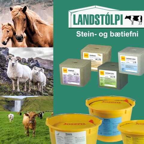 Stein- og bætiefni