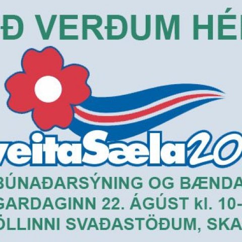 SveitaSæla 2015